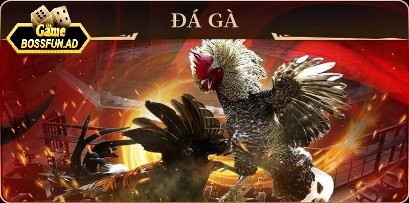 Chiến thuật và mẹo chơi hiệu quả trên bossfun