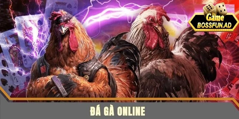 Giới thiệu chung về đá gà online tại bossfun