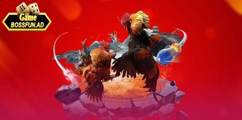 Lợi ích khi tham gia đá gà trực tuyến tại bossfun